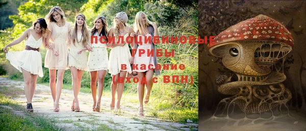 гидропоника Алзамай