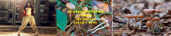 бошки Абдулино