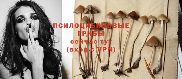 соль курить ск Алексеевка