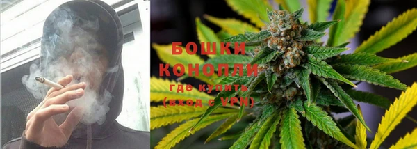 гидропоника Алзамай