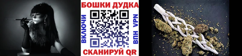 как найти наркотики  Новоаннинский  Марихуана сатива 